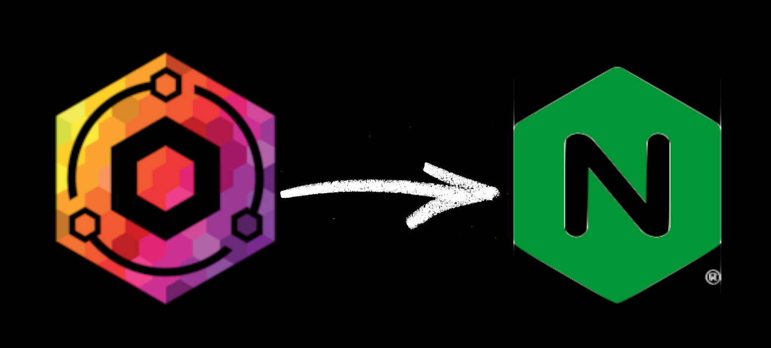 NginxProxyManger to Nginx