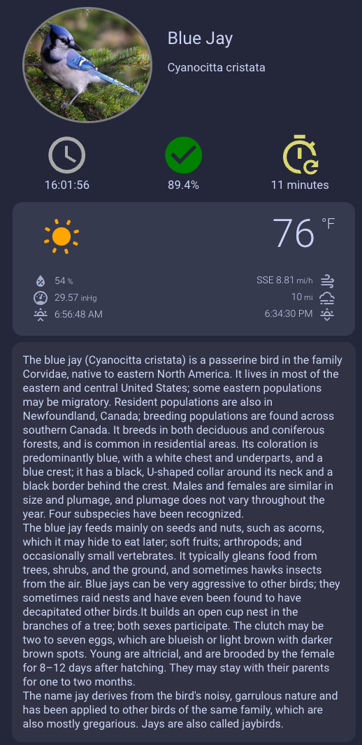 HomeAssistant BirdNet-Pi Dashboard - Full View